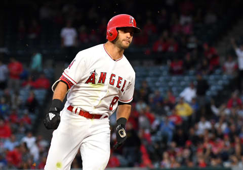 Tommy La Stella, Los Angeles Angels (Photo by Jayne Kamin-Oncea/Getty Images)