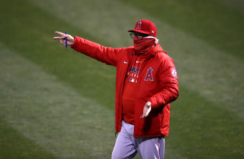 Joe Maddon, Los Angeles Angels (Photo by Ezra Shaw/Getty Images)