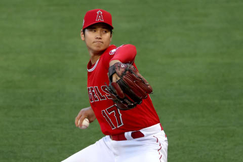 Shohei Ohtani, Los Angeles Angels (Photo by Sean M. Haffey/Getty Images)