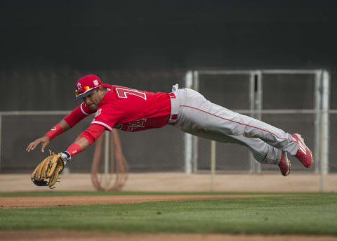 TEMPE, AZ – February 27: Roberto Baldoquin #47 of the Los Angeles Angels of Anaheim makes a diving catch during spring training. (Photo by Matt Brown/Angels Baseball LP/Getty Images)