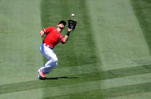 Taylor Ward, Los Angeles Angels (Photo by Jayne Kamin-Oncea/Getty Images)