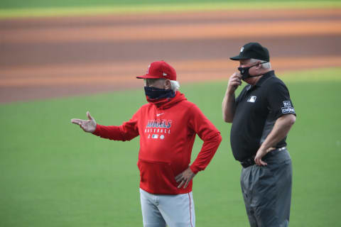 Joe Maddon, Los Angeles Angels (Photo by Sean M. Haffey/Getty Images)