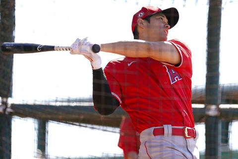 Shohei Ohtani of the Los Angeles Angels (Photo by Masterpress/Getty Images)