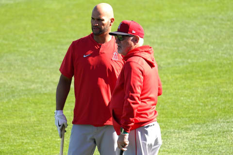 Manager Joe Maddon and Albert Pujols – Los Angeles Angels (Photo by Masterpress/Getty Images)