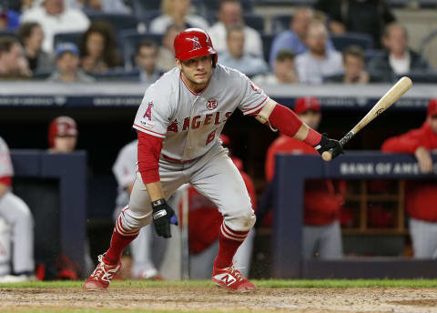 David Fletcher, Los Angeles Angels of Anaheim (Photo by Jim McIsaac/Getty Images)