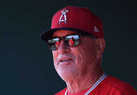 Joe Maddon, Los Angeles Angels (Photo by Norm Hall/Getty Images)