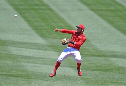 David Fletcher, Los Angeles Angels (Photo by Jayne Kamin-Oncea/Getty Images)