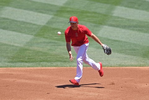 Tommy La Stella, Los Angeles Angels (Photo by Jayne Kamin-Oncea/Getty Images)