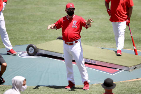 Joe Maddon, Los Angeles Angels (Photo by Sean M. Haffey/Getty Images)