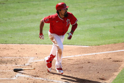 Anthony Rendon, Los Angeles Angels (Photo by Sean M. Haffey/Getty Images)