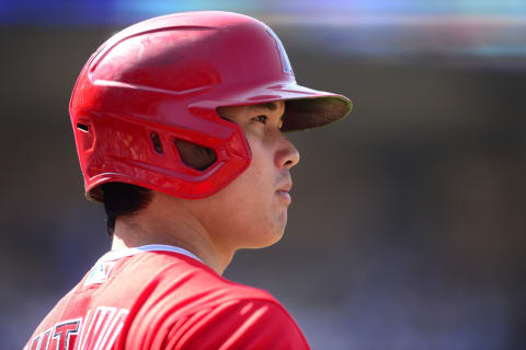 Shohei Ohtani, LA Angels. Mandatory Credit: Gary A. Vasquez-USA TODAY Sports