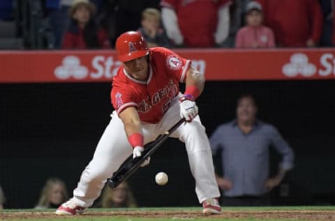 Carlos Perez is one of many LA Angels in Triple-A hoping for another shot in the majors . Mandatory Credit: Kirby Lee-USA TODAY Sports