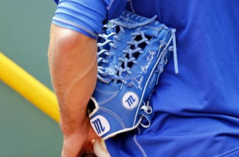 BOSTON, MA – JUNE 14: The glove of Jose Bautista