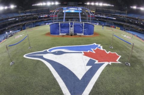 TORONTO, CANADA – APRIL 4: The Toronto Blue Jays logo painted on the field during batting practice before the Toronto Blue Jays home opener prior to the start of their MLB game against the New York Yankees on April 4, 2014 at Rogers Centre in Toronto, Ontario, Canada. (Photo by Tom Szczerbowski/Getty Images)