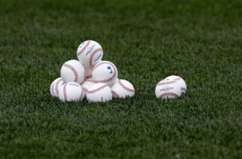 BALTIMORE, MD – APRIL 23: Baseballs sit in the grass before the start of the New York Yankees and Baltimore Orioles game at Oriole Park at Camden Yards on April 23, 2011 in Baltimore, Maryland. (Photo by Rob Carr/Getty Images)