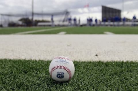 Feb 24, 2016; Dunedin, FL, USA; A general view of the official 2016 Spring Training grapefruit league baseball on the field as the Toronto Blue Jays work out at Bobby Mattick Training Center. Mandatory Credit: Kim Klement-USA TODAY Sports