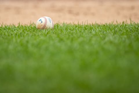 (Photo by Brace Hemmelgarn/Minnesota Twins/Getty Images)