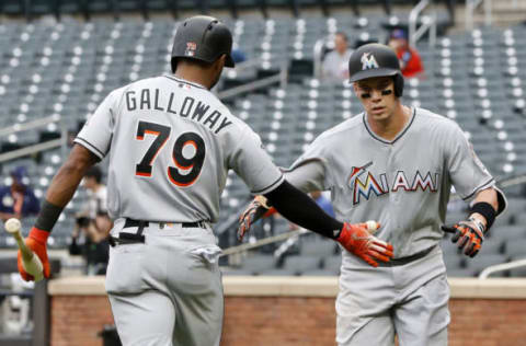 NEW YORK, NY – SEPTEMBER 13: Peter O’Brien #45 of the Miami Marlins celebrates his second inning home run against the New York Mets with teammate Isaac Galloway #79 at Citi Field on September 13, 2018 in the Flushing neighborhood of the Queens borough of New York City. (Photo by Jim McIsaac/Getty Images)