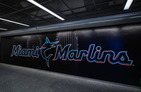 A view of the Miami Marlins logo (Photo by Mark Brown/Getty Images)