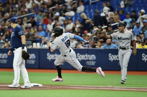 ST. PETERSBURG, FLORIDA – AUGUST 03: Miguel Rojas #19 of the Miami Marlins. (Photo by Julio Aguilar/Getty Images)