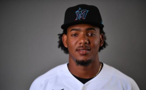 JUPITER, FLORIDA – FEBRUARY 19: Jerar Encarnacion #87 of the Miami Marlins poses for a photo during Photo Day at Roger Dean Chevrolet Stadium on February 19, 2020 in Jupiter, Florida. (Photo by Mark Brown/Getty Images)