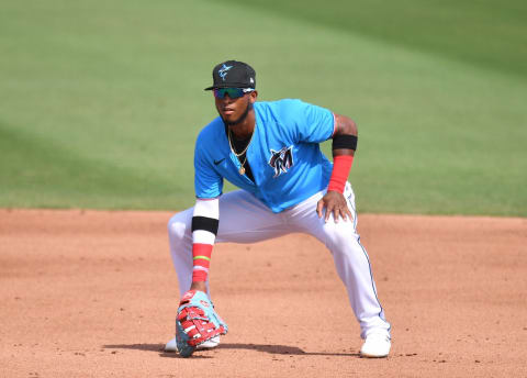 First Baseman Lewin Diaz of the Miami Marlins (Photo by Mark Brown/Getty Images)