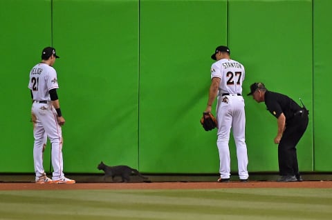 Noah Syndergaard makes the Marlins Giancarlo Stanton look gentle as a rally cat. Mandatory Credit: Jasen Vinlove-USA TODAY Sports