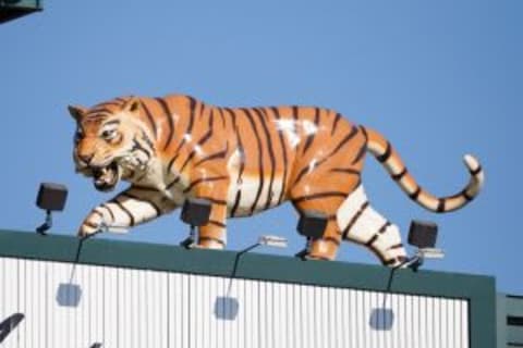 Jun 3, 2014; Detroit, MI, USA; Tigers sit onto of the scoreboard at Comerica Park. Mandatory Credit: Rick Osentoski-USA TODAY Sports