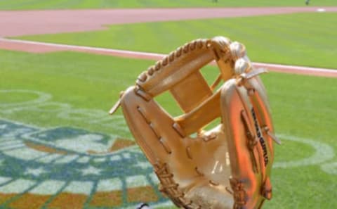 DETROIT, MI – APRIL 12: A detailed view of the Rawlings Gold Glove Award. (Photo by Mark Cunningham/MLB Photos via Getty Images)