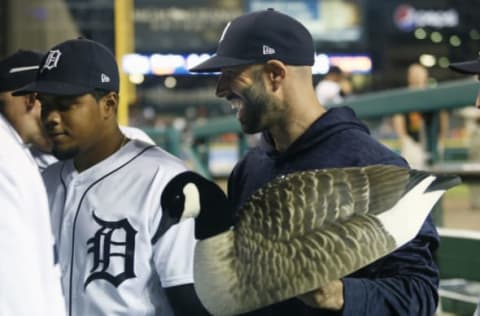 DETROIT, MI – Pitcher Mike Fiers Tigers walks off with the “rally goose.” (Photo by Duane Burleson/Getty Images)