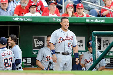 Miguel Cabrera cheers during a May 2013 road game. (Photo by G Fiume/Getty Images)