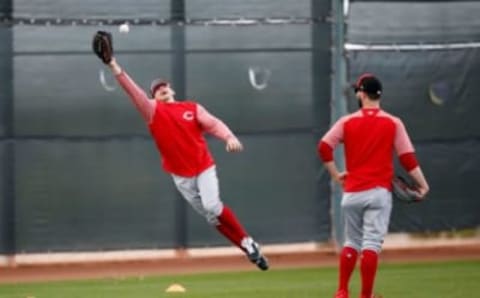 Cincinnati Reds outfielder TJ Friedl (79) leads for a catch during practice at the Cincinnati Reds spring training facility in Goodyear, Ariz., on Monday, Feb. 18, 2019.Reds Spring Training