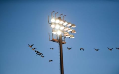 Geese fly by stadium lights during the quarterfinals on Thursday, Oct. 31, 2019 at Howard Wood Field.Rooseveltvswatertown775