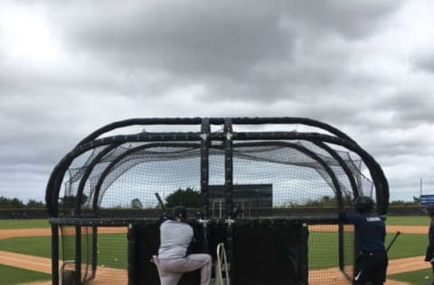 Tigers’ Dominican Summer League manager Ramon Zapata watches batting practice.