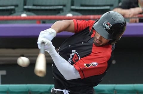 Erie SeaWolves batter Riley Greene makes contact.