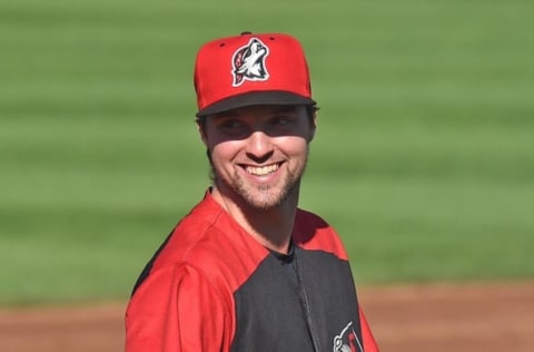 Andre Lipcius, third baseman with the Erie SeaWolves plays against the Richmond Flying Squirrels.