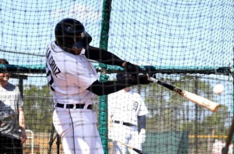 Tigers outfield prospect Jose De La Cruz takes batting practice.