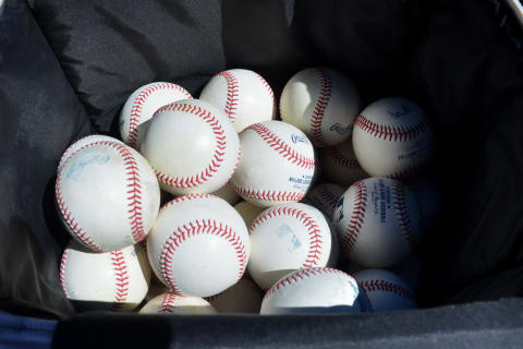 Mar 16, 2019; Scottsdale, AZ, USA; General view of a bag of baseballs prior to the game between the San Francisco Giants and the San Diego Padres at Scottsdale Stadium. Mandatory Credit: Matt Kartozian-USA TODAY Sports