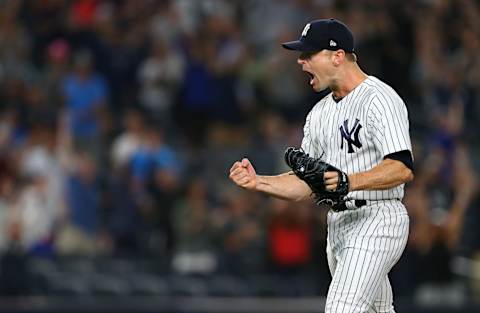 NEW YORK, NY – AUGUST 31: David Robertson #30 of the New York Yankees reacts after striking out the final batter to defeat the Detroit Tigers 7-5 in a game at Yankee Stadium on August 31, 2018 in the Bronx borough of New York City. (Photo by Rich Schultz/Getty Images)