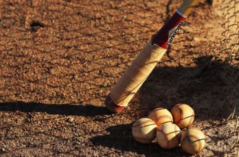 KISSIMMEE, FL – JANUARY 28: Baseballs and a Fungo Bat lie in the dirt during the Jim Evans Academy of Professional Umpiring on January 28, 2011 at the Houston Astros Spring Training Complex in Kissimmee, Florida. Jim Evans was a Major League Umpire for 28 years that included umpiring four World Series. Many of his students have gone on to work on all levels of baseball including the Major Leagues. (Photo by Al Bello/Getty Images)