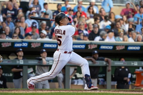 Minnesota Twins third baseman Gio Urshela hits a RBI single against the New York Yankees. (Jordan Johnson-USA TODAY Sports)