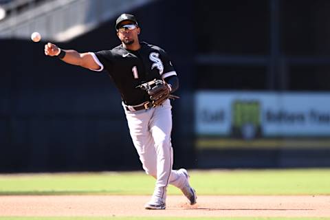 Chicago White Sox second baseman Elvis Andrus throws to first base. (Orlando Ramirez-USA TODAY Sports)