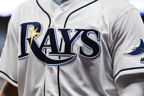 Rays Logo (Photo by Julio Aguilar/Getty Images)