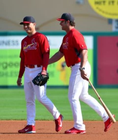 Mar 10, 2014; Jupiter, FL, USA; St. Louis Cardinals newly acquired shortstop Aledmys Diaz (95) talks with Cardinals manager Mike Matheny (22) before the game against the Detroit Tigers at Roger Dean Stadium. Mandatory Credit: Scott Rovak-USA TODAY Sports