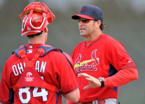 Feb 21, 2015; Jupiter, FL, USA; St. Louis Cardinals manager Mike Matheny (right) talks with catcher Michael Ohlman (left) during practice drills at Roger Dean Stadium. Mandatory Credit: Steve Mitchell-USA TODAY Sports