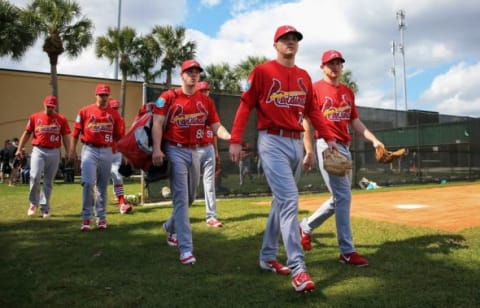 Feb 18, 2016; Jupiter, FL, USA; St. Louis Cardinals players walk towards the practice field at Roger Dean Stadium. Mandatory Credit: Steve Mitchell-USA TODAY Sports