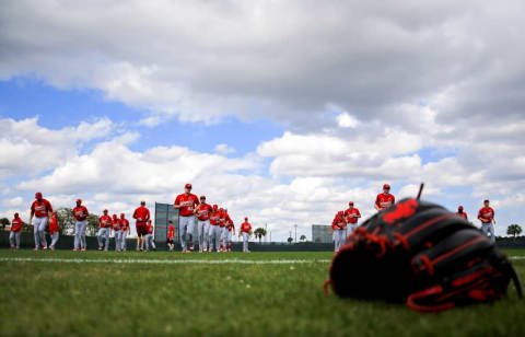 Feb 18, 2016; Jupiter, FL, USA; A general view of an MLB glove on the practice field at Roger Dean Stadium. Mandatory Credit: Steve Mitchell-USA TODAY Sports