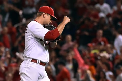 Apr 29, 2015; St. Louis, MO, USA; St. Louis Cardinals relief pitcher Trevor Rosenthal (44) reacts after defeating the Philadelphia Phillies 5-2 at Busch Stadium. Mandatory Credit: Jasen Vinlove-USA TODAY Sports