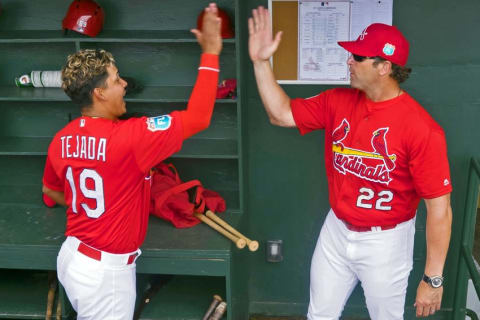 Mar 20, 2016; Jupiter, FL, USA; St. Louis Cardinals shortstop Ruben Tejada (19) and manager Mike Matheny (22) before the game against the Miami Marlins at Roger Dean Stadium. The Marlins defeated the Cardinals 5-2. Mandatory Credit: Scott Rovak-USA TODAY Sports