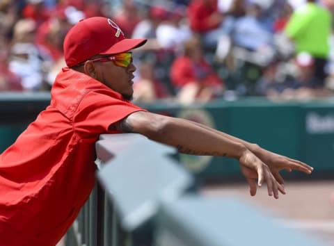 Mar 21, 2016; Jupiter, FL, USA; St. Louis Cardinals starting pitcher Carlos Martinez (18) watches the game against the Boston Red Sox at Roger Dean Stadium. The Red Sox defeated the Cardinals 4-3. Mandatory Credit: Scott Rovak-USA TODAY Sports